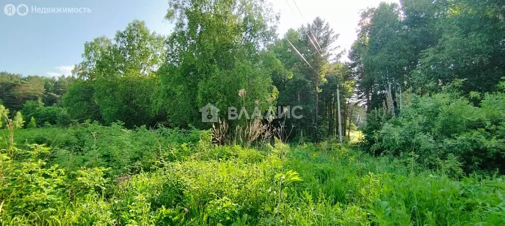Участок в село Силино, Заречная улица, 8 (19 м) - Фото 1