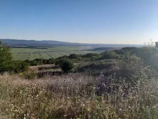 Участок в Краснодарский край, Анапа муниципальный округ, с. Сукко пер. ... - Фото 2