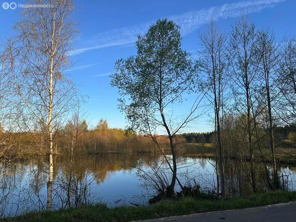 Участок в Судогодский район, муниципальное образование Вяткинское, ... - Фото 1