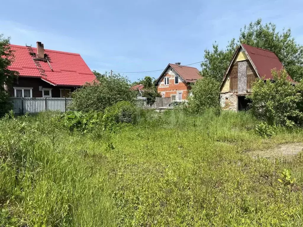 Участок в Калининградская область, Калининград Ромашка СНТ, ул. ... - Фото 1