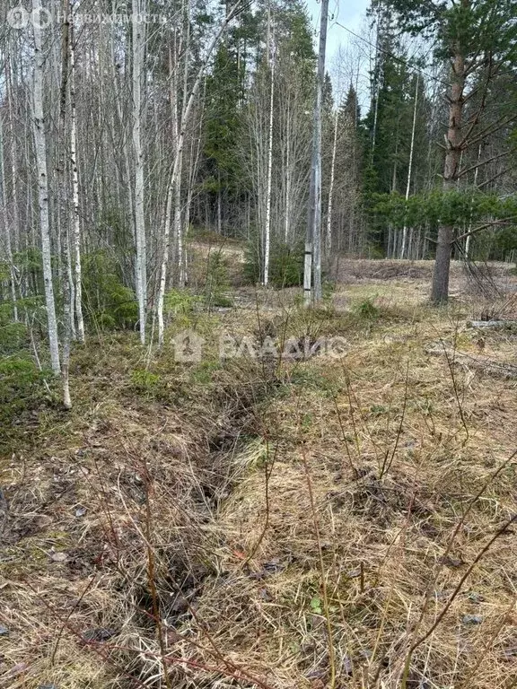 Участок в Деревянское сельское поселение, СНТ Турист, 35 (23 м) - Фото 1