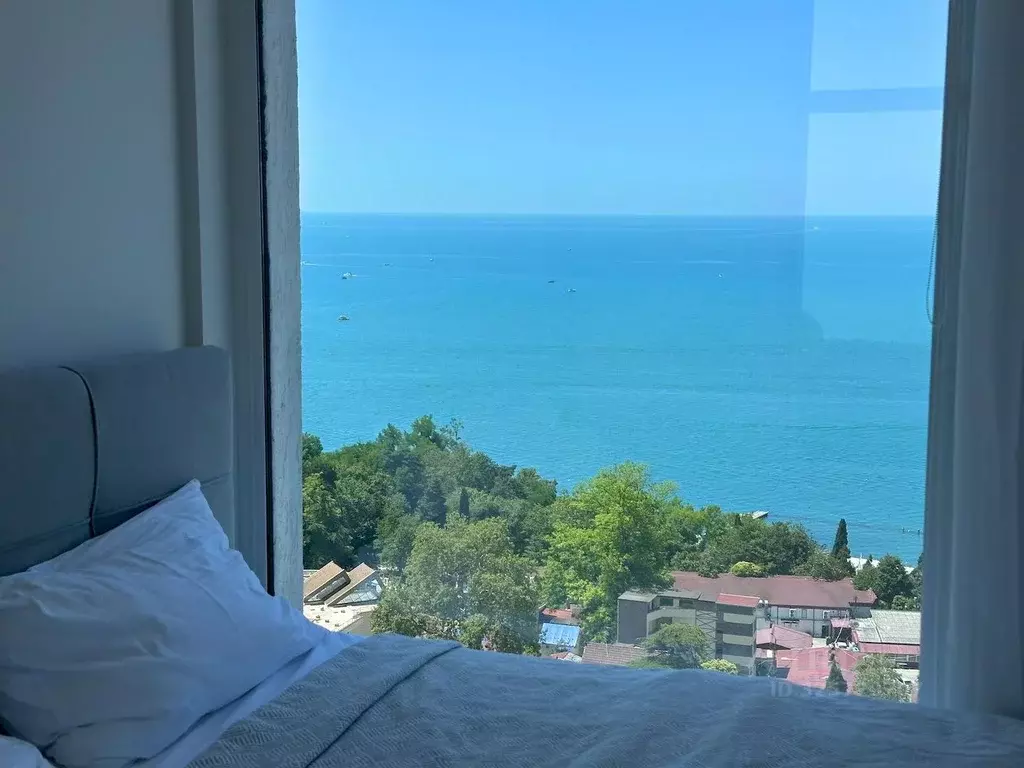 Студия Краснодарский край, Сочи Курортный просп., 59 (44.0 м) - Фото 2