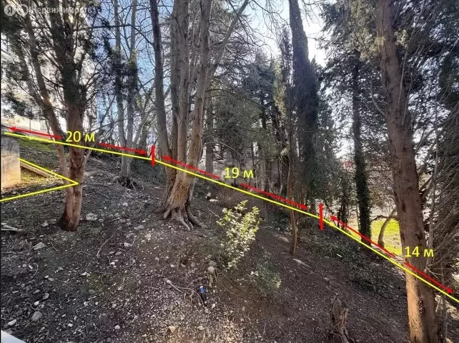 Участок в Массандра, улица 16 Апреля 1944 года (317 м) - Фото 2