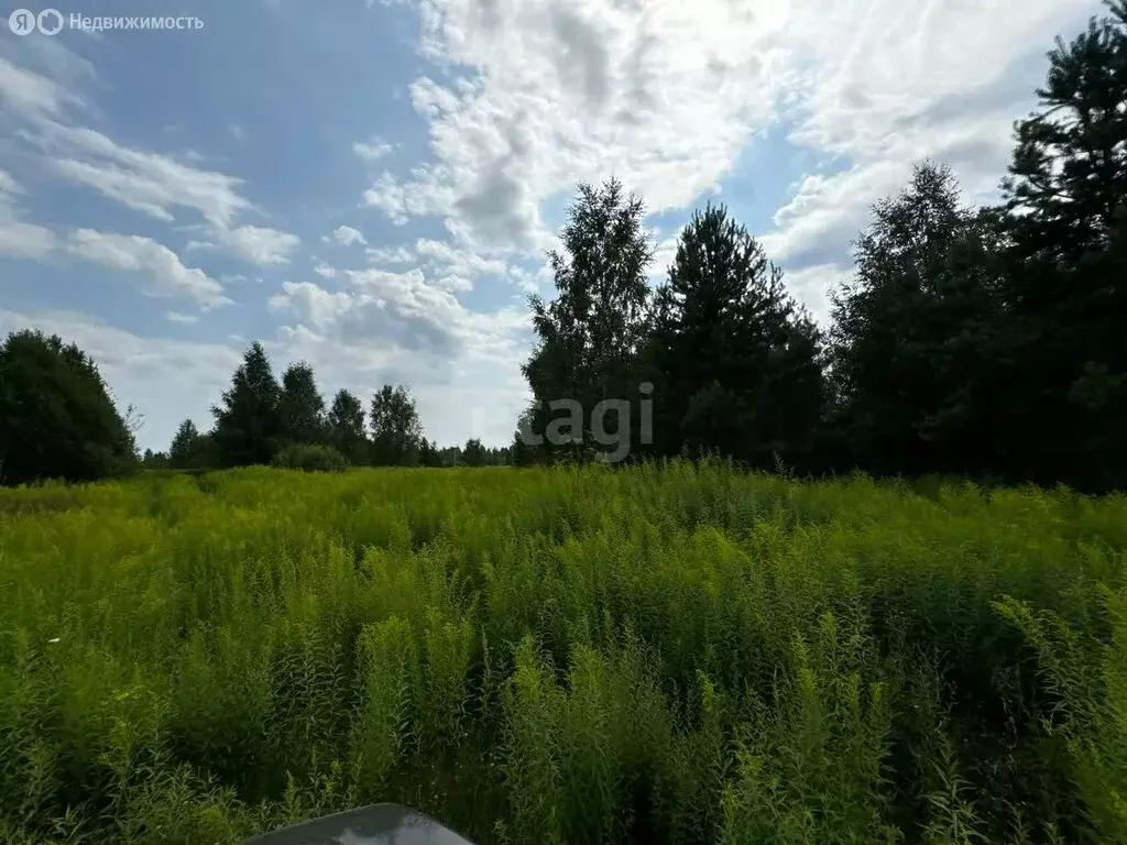 Участок в Нижегородская область, Городецкий муниципальный округ, ... - Фото 1