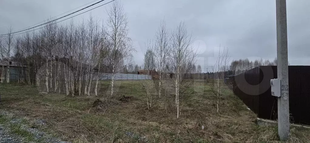 Участок 13,5 сот. (ИЖС) - Фото 1