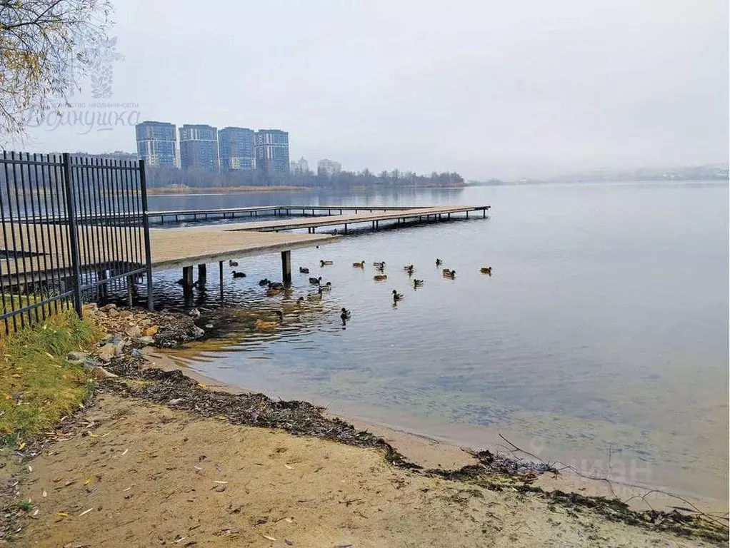 1-к кв. Воронежская область, Воронеж ул. 25 Января, 22 (32.0 м) - Фото 2