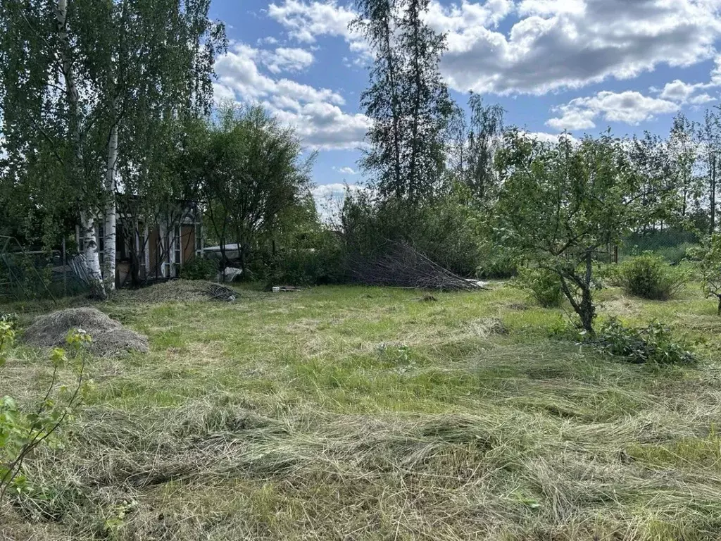 Участок в Санкт-Петербург, Санкт-Петербург, Петергоф дор. Сашинская ... - Фото 2