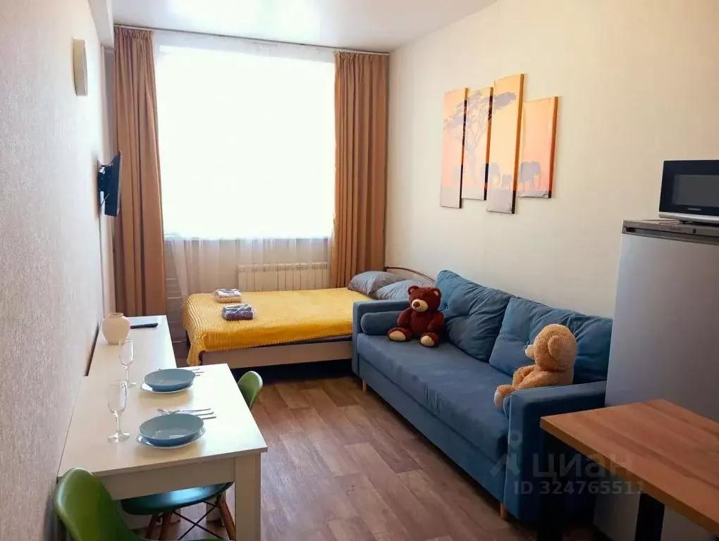 1-к кв. Красноярский край, Красноярск ул. Сады, 6Г (28.0 м) - Фото 1