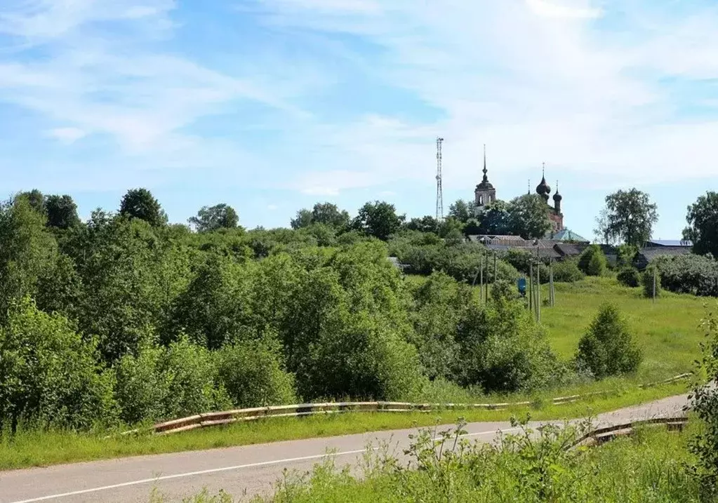 Участок в Ярославская область, Гаврилов-Ямский район, Шопшинское ... - Фото 1