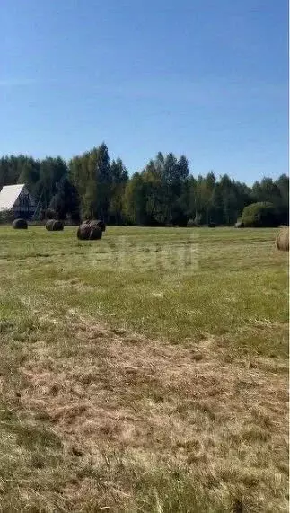 Участок в Ярославская область, Рыбинский муниципальный округ, д. ... - Фото 1