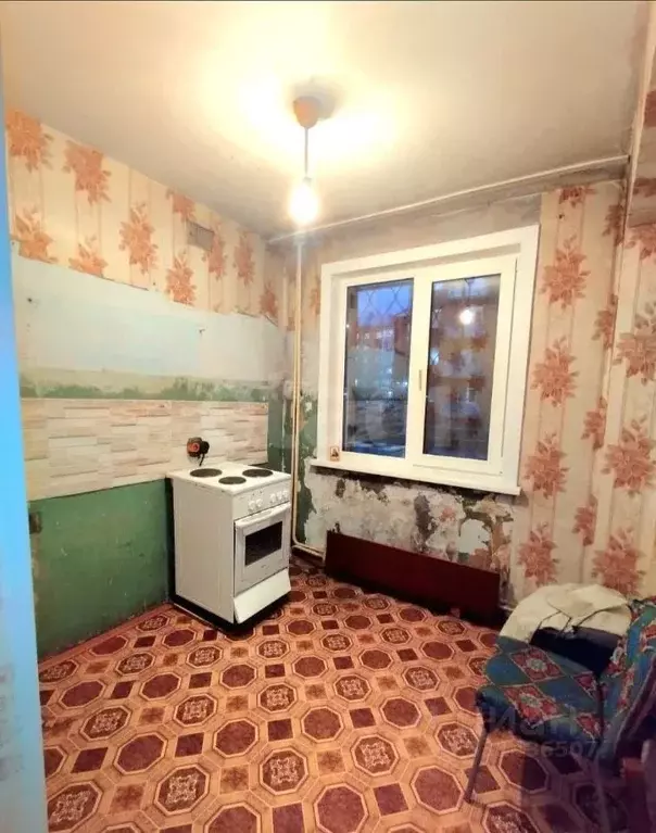 1-к кв. Алтайский край, Бийск ул. Михаила Ломоносова, 27 (30.7 м) - Фото 1