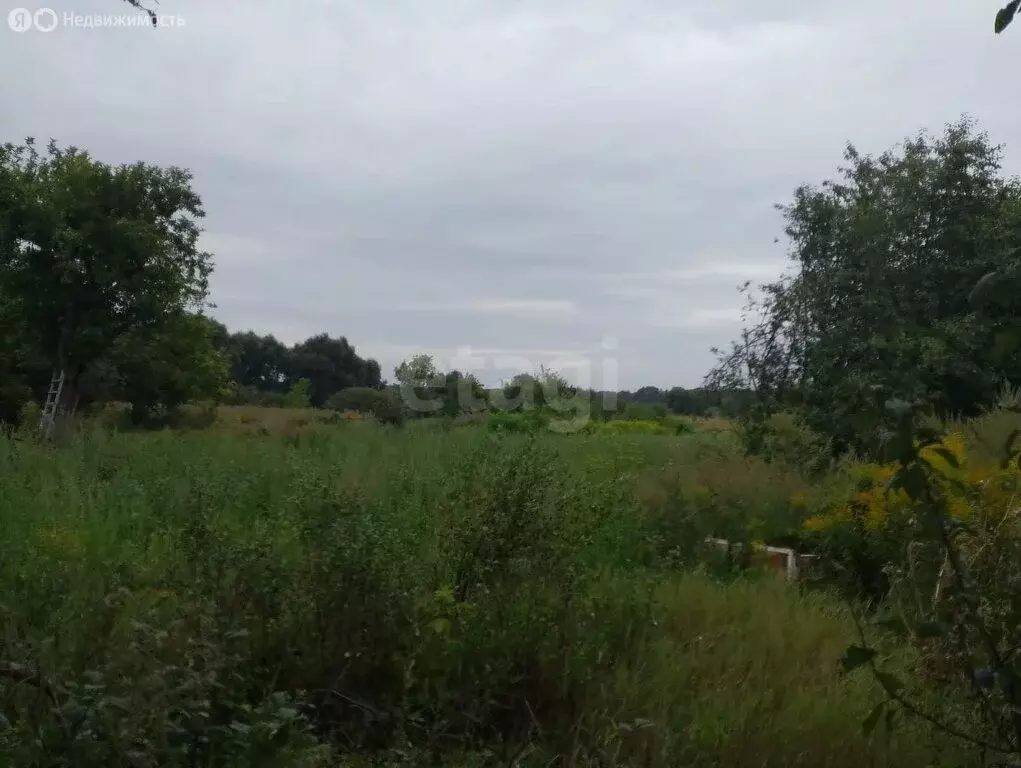 Участок в Орлово, улица Дружбы (16.33 м) - Фото 1