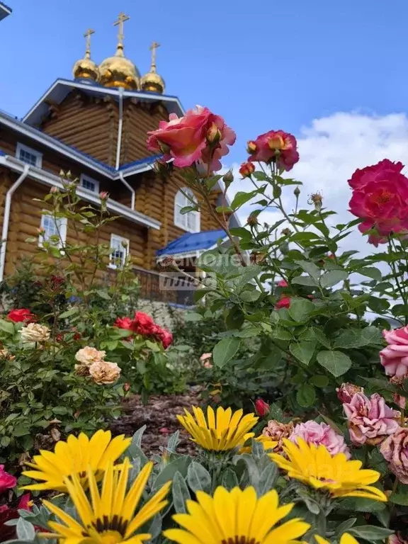 Участок в Свердловская область, Екатеринбург муниципальное ... - Фото 1