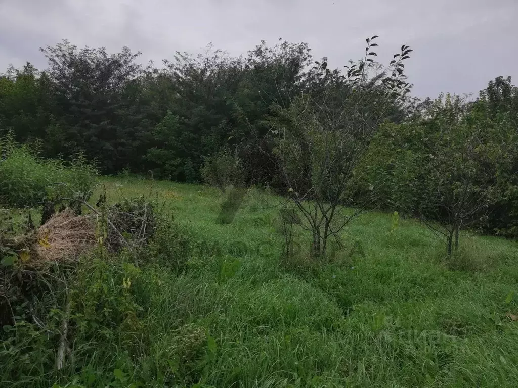 Участок в Краснодарский край, Апшеронский район, Кабардинское с/пос, ... - Фото 2