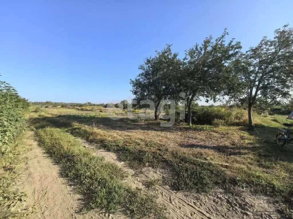 Участок в Брянская область, Брянский район, Добрунское с/пос, д. ... - Фото 1