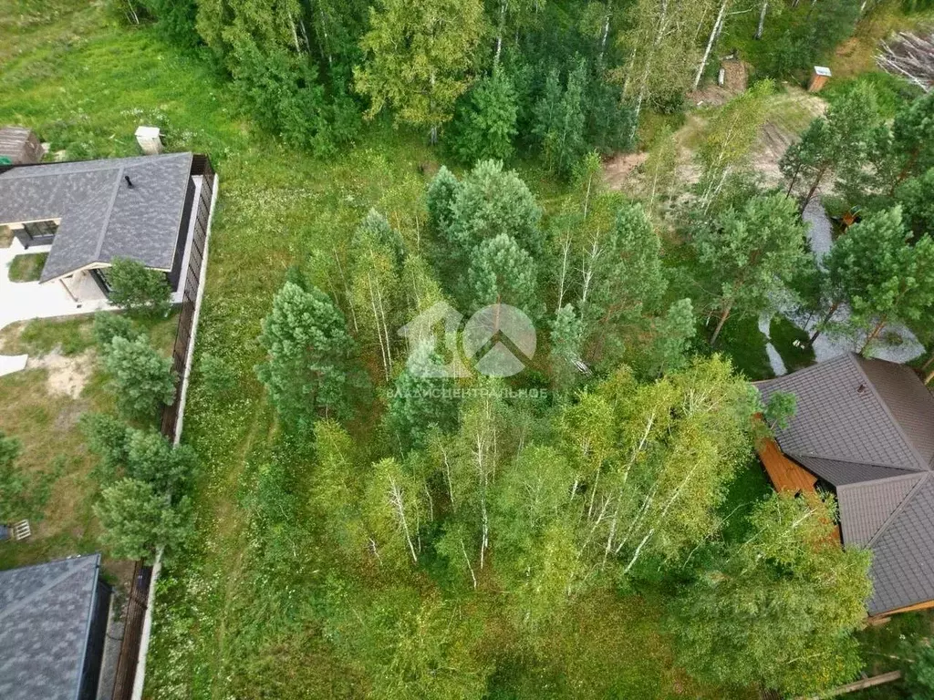Участок в Новосибирская область, Новосибирский район, Кубовинский ... - Фото 2