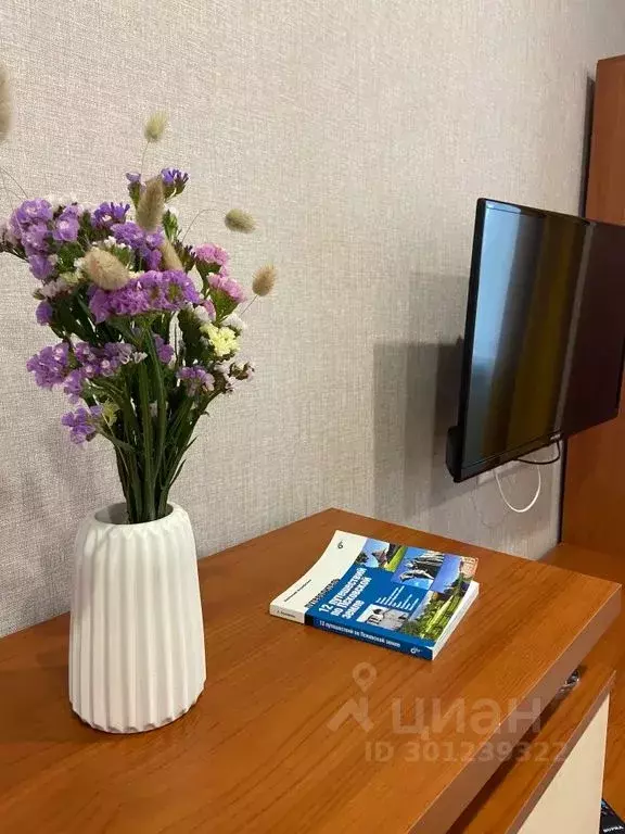 1-к кв. Псковская область, Псковский район, Завеличенская волость, д. ... - Фото 2