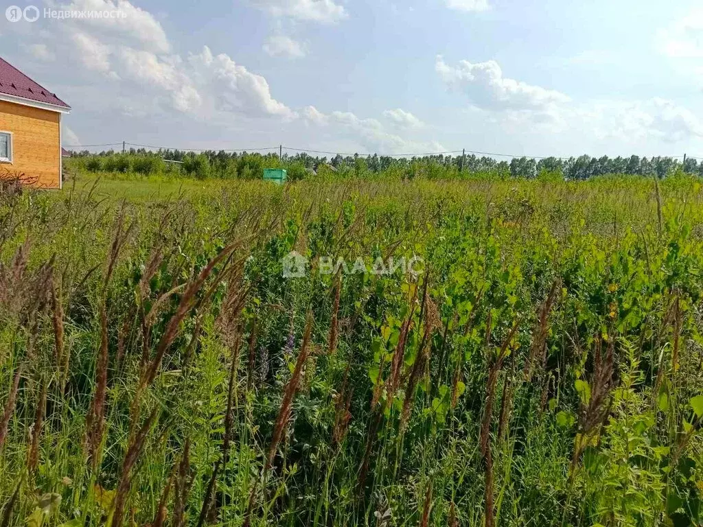 Участок в Нижегородская область, Сосновский муниципальный округ, ... - Фото 1