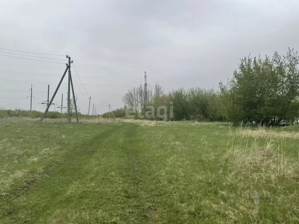 Участок в Пензенская область, Бессоновский район, с. Ухтинка  (10.7 ... - Фото 1