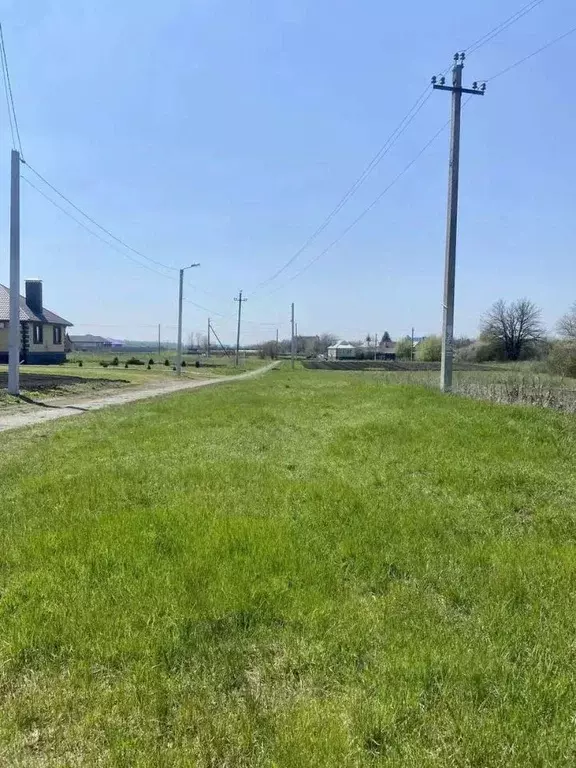Участок в Белгородская область, Белгородский муниципальный округ, с. ... - Фото 2