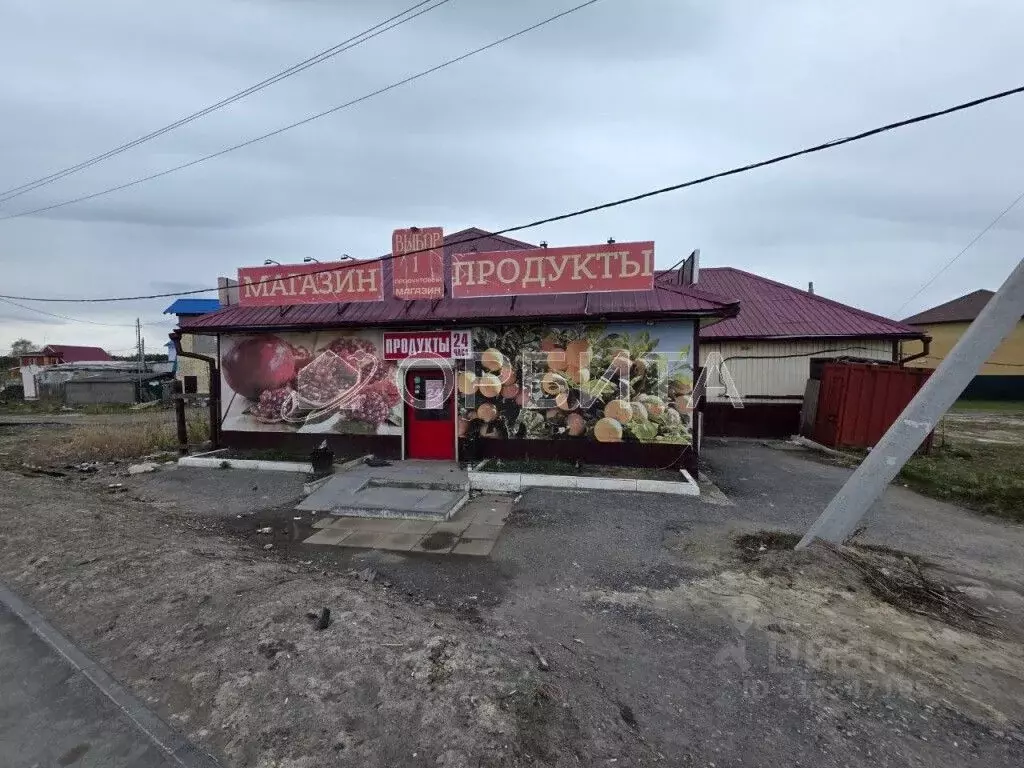 Помещение свободного назначения в Тюменская область, Тюменский район, ... - Фото 0