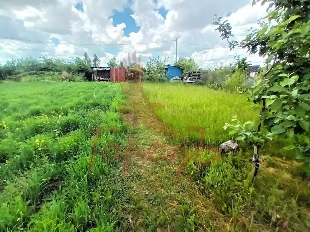 Участок в Орловская область, Орловский муниципальный округ, Медик СТ  ... - Фото 1