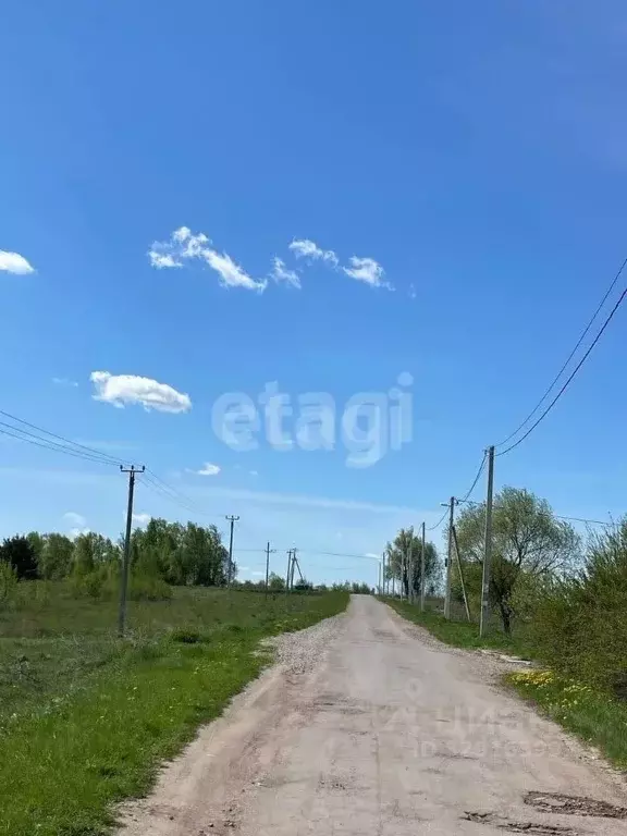Участок в Калужская область, Бабынинский муниципальный округ, ... - Фото 2