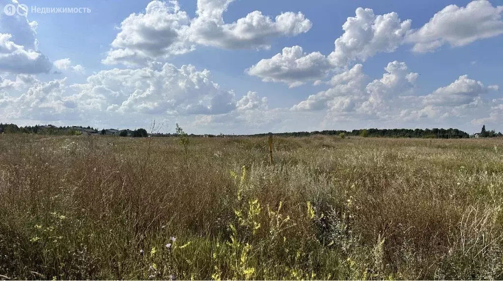 Участок в деревня Новомусино, Озёрная улица (9 м) - Фото 1