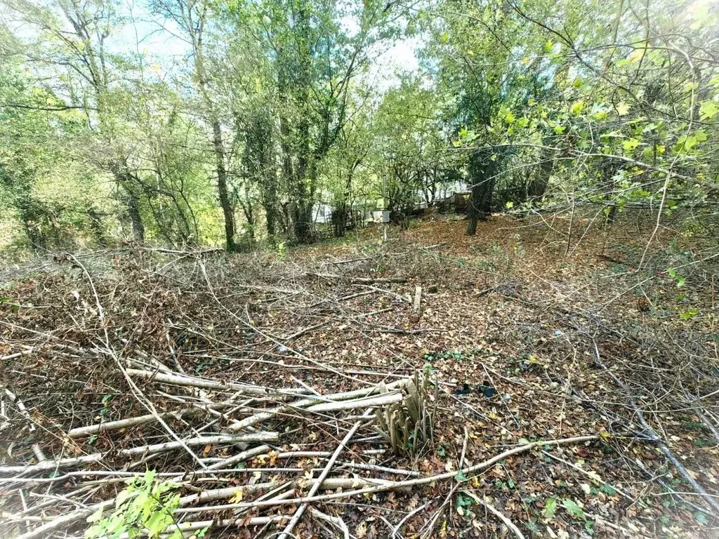 Участок в Краснодарский край, Геленджик городской округ, Широкая Щель ... - Фото 2