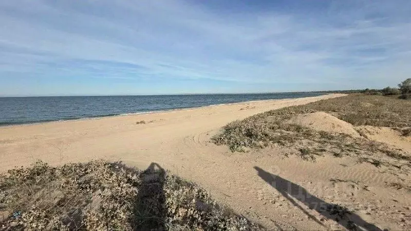 Участок в Крым, Ленинский район, Белинское с/пос, с. Нижнезаморское ... - Фото 1