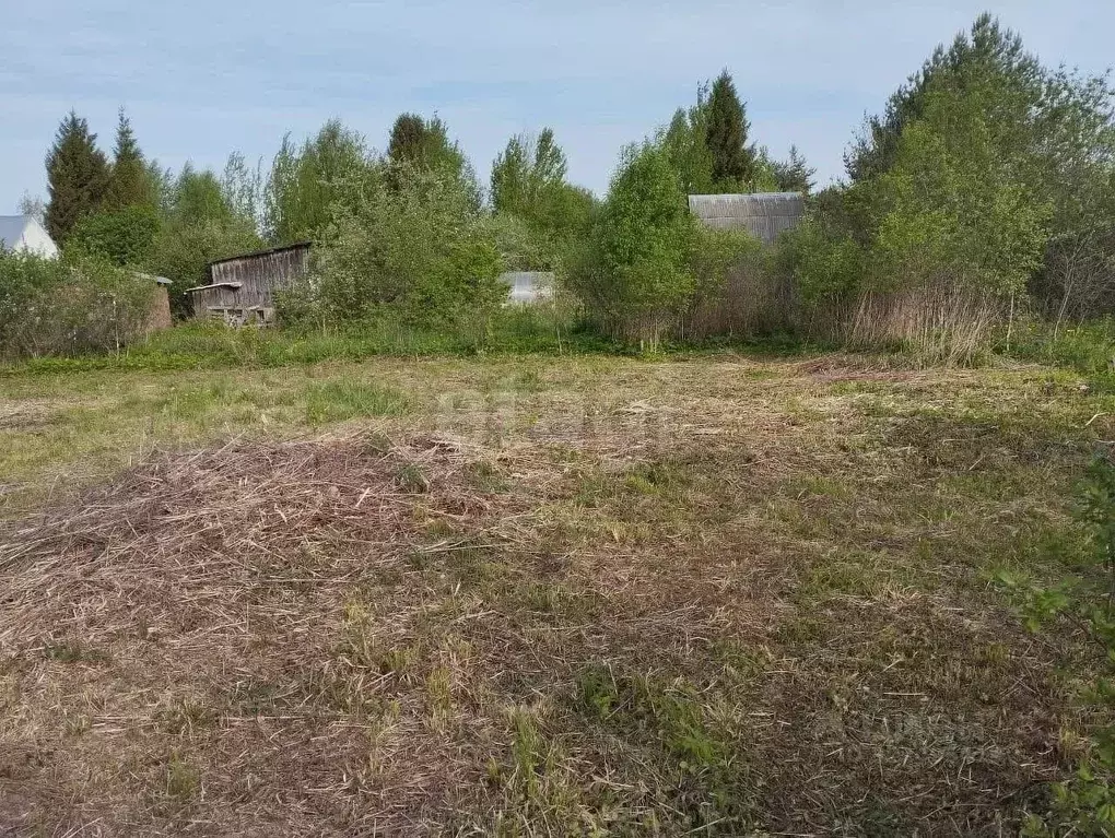 Участок в Вологодская область, Автомобилист СТ 181 (6.0 сот.) - Фото 1