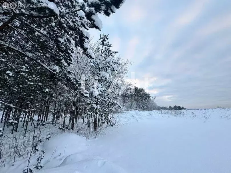 Участок в Приозерский район, Запорожское сельское поселение, посёлок ... - Фото 1
