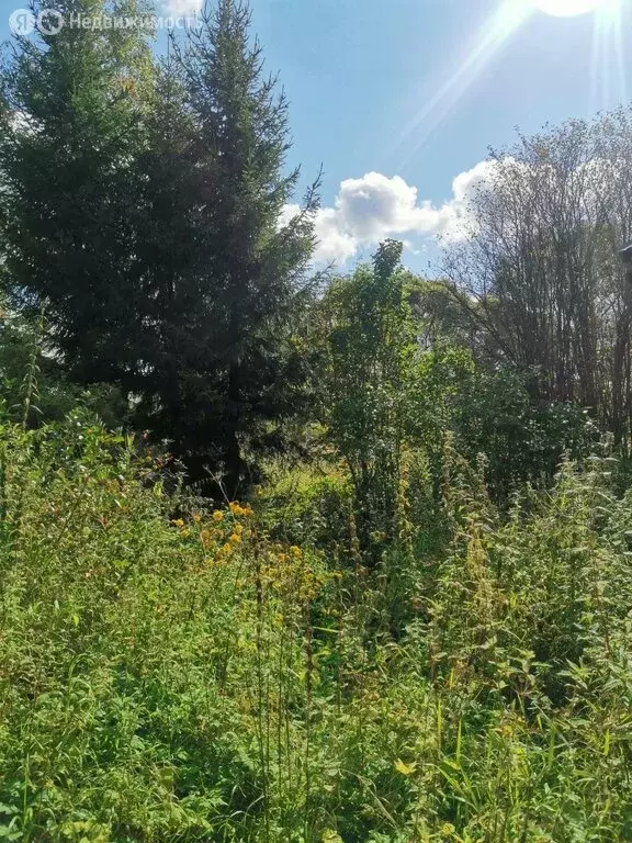 Участок в Ярославская область, Переславль-Залесский муниципальный ... - Фото 2