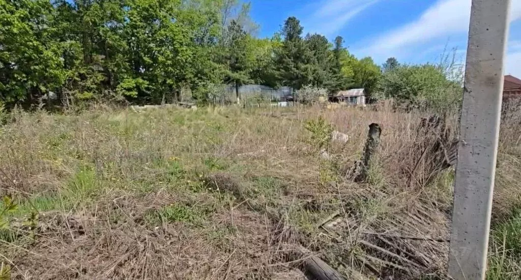 Участок в Амурская область, Благовещенск Кедровое СНТ,  (5.0 сот.) - Фото 2