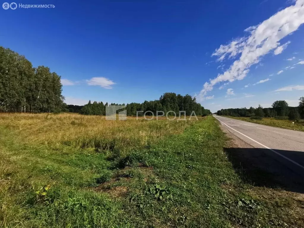 Участок в Станционный сельсовет (100 м) - Фото 1