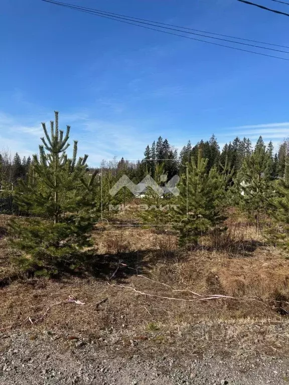Участок в Ленинградская область, Всеволожский район, Агалатовское ... - Фото 1