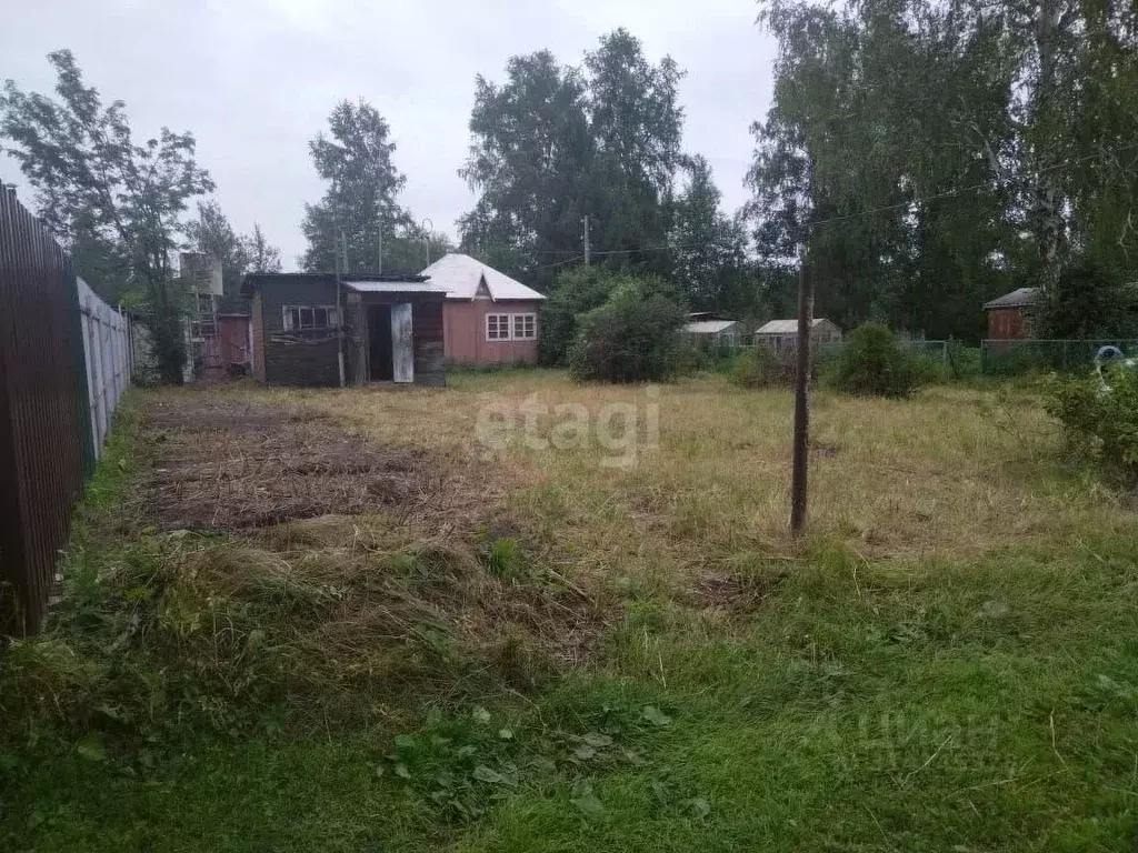 Участок в Новосибирская область, Тогучинский район, Электрик СНТ 87 ... - Фото 0