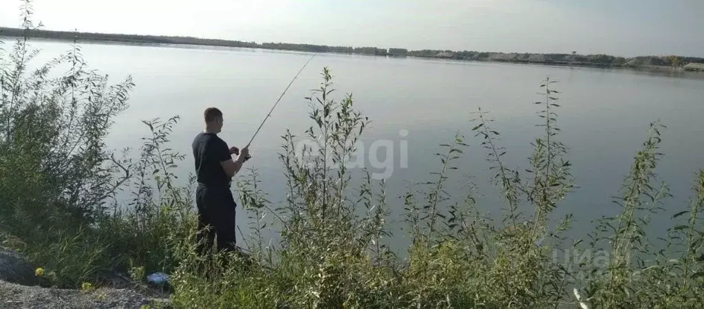 Участок в Новосибирская область, Новосибирский район, Криводановский ... - Фото 1