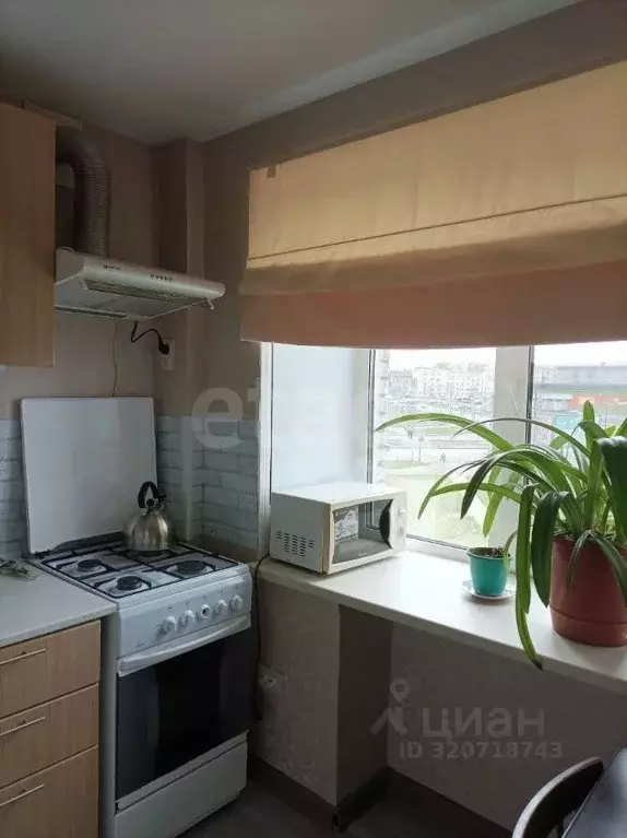 1-к кв. Вологодская область, Череповец ул. Сталеваров, 68 (31.2 м) - Фото 1