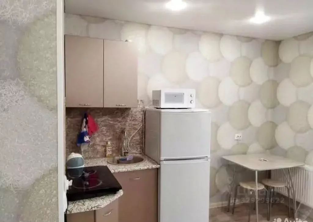 Студия Башкортостан, Уфа ул. Бородинская, 11/1 (21.0 м) - Фото 1