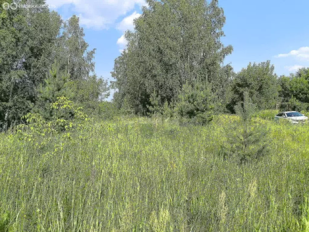 Участок в Анкудиновка, СНТ Механизатор (5.45 м) - Фото 2