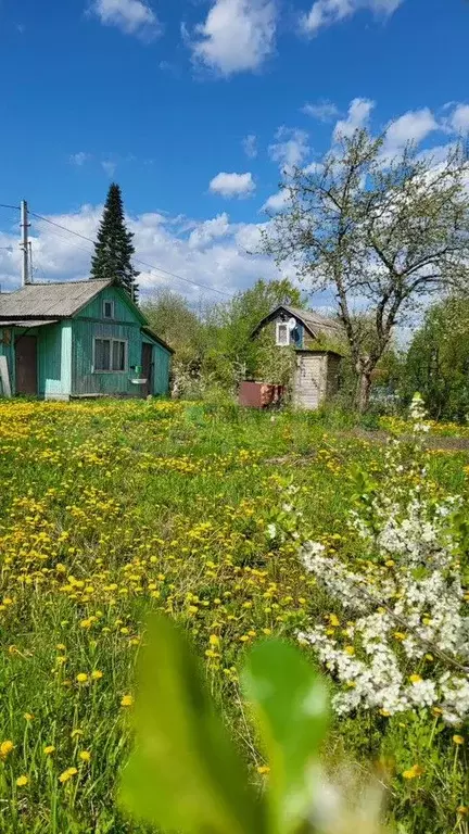 Дача 10 м на участке 5,4 сот. - Фото 1