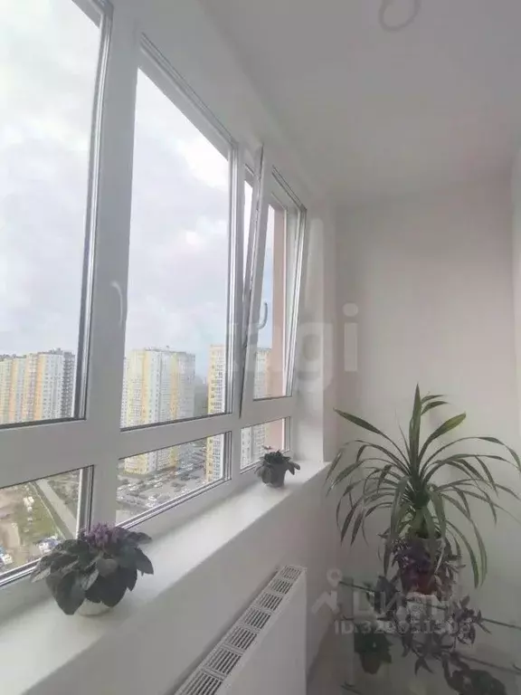 1-к кв. Нижегородская область, Нижний Новгород д. Анкудиновка, ул. ... - Фото 1