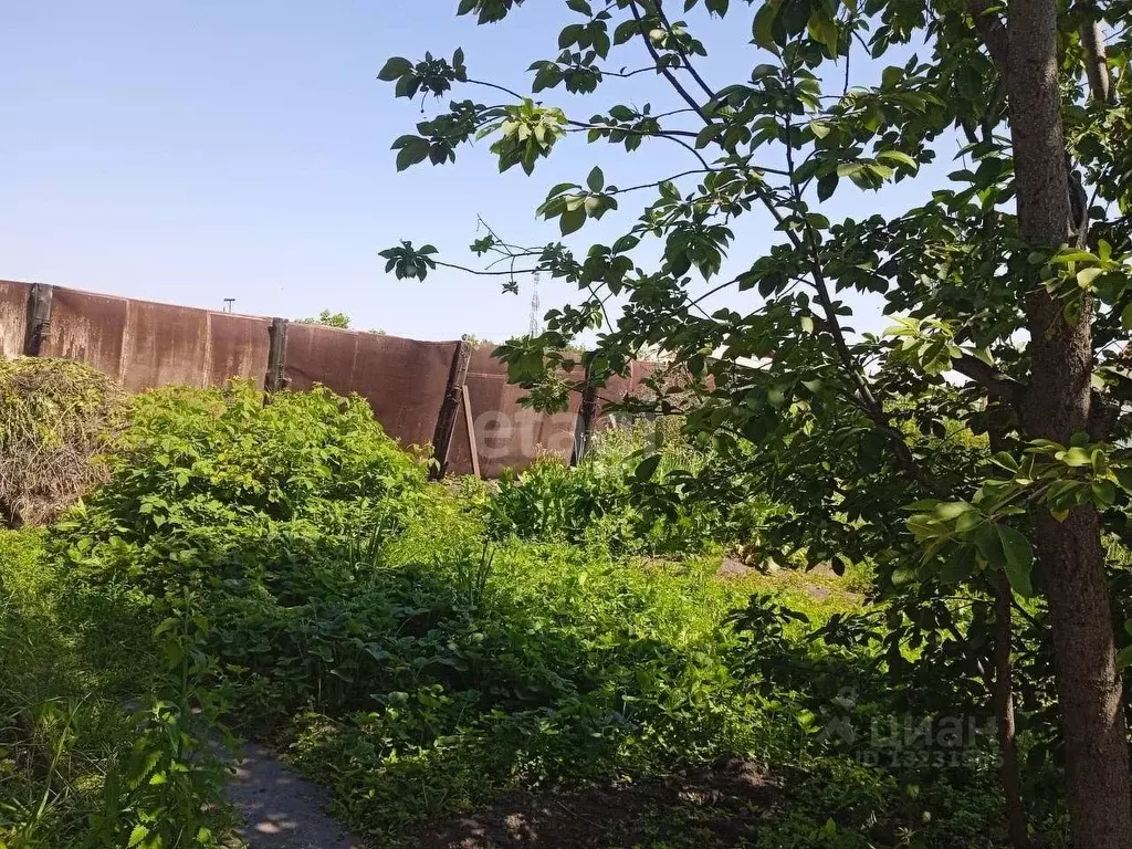 Дом в Челябинская область, Южноуральск Советская ул. (53.5 м) - Фото 1