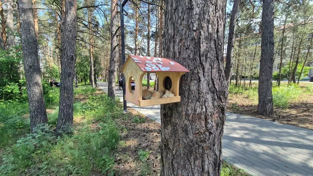 1-комнатная квартира: село Ямное, улица Атамана Белова, 2/2 (50 м) - Фото 1