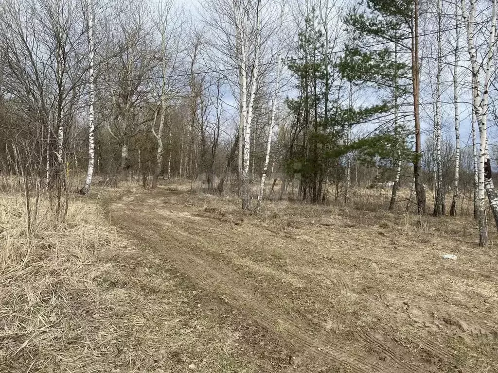 Участок в Калужская область, Калуга городской округ, д. Косарево  ... - Фото 1