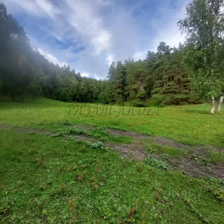 Участок в Алтай, Чемальский район, Элекмонарское с/пос, с. Элекмонар  ... - Фото 1