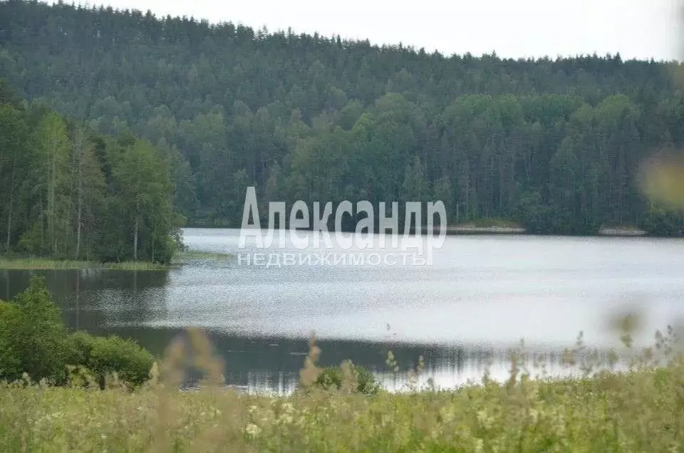 Участок в Карелия, Сортавальский муниципальный округ, пос. Реускула  ... - Фото 1