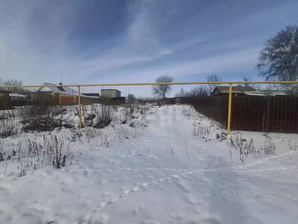 Участок в Воронежская область, Хохольский рп  (14.0 сот.) - Фото 1