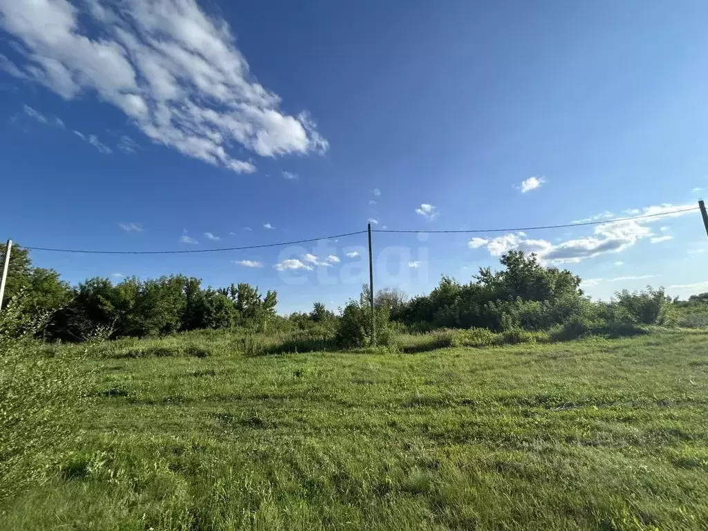 Участок в Саратовская область, Балашовский район, Репинское ... - Фото 1